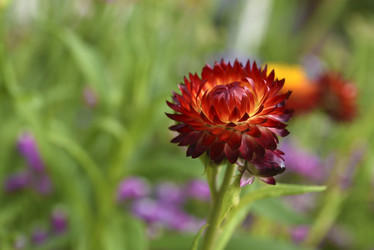 Similar image 21555553