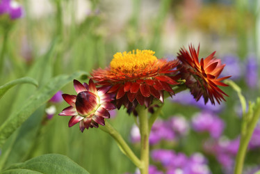 Similar image 21555554