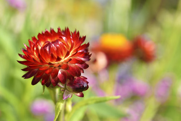 Similar image 21555555