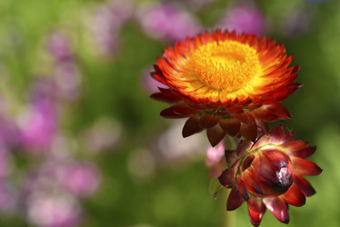 Similar image 21555557