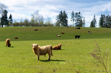 Similar image 21560149