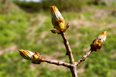 Similar image 21560151