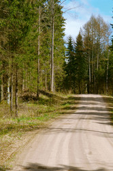 Similar image 21555033