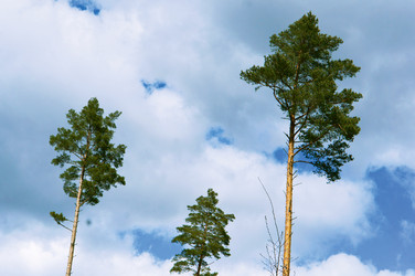 Similar image 21558379