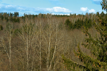 Similar image 21560153