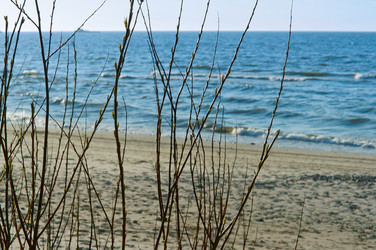 Similar image 21560154