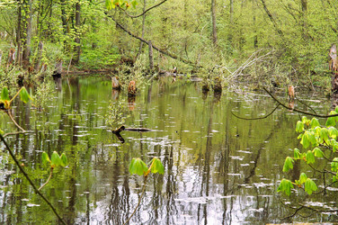 Similar image 21560156