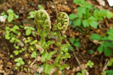 Similar image 21556615