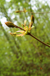 Similar image 21556617