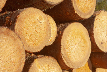 Similar image 21555090