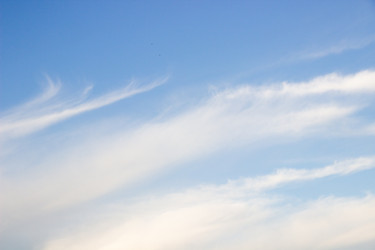 Similar image 21555092