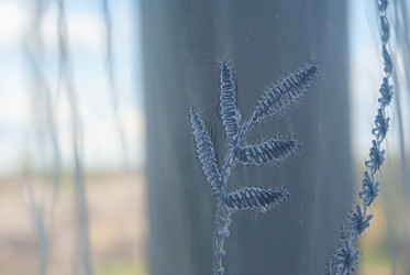 Similar image 21555099