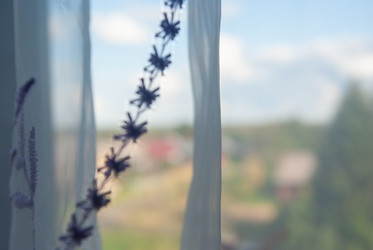 Similar image 21555100