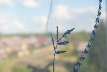 Similar image 21555101