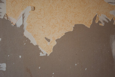 Similar image 21555111