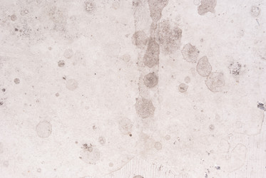 Similar image 21555114