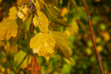 Similar image 21555118