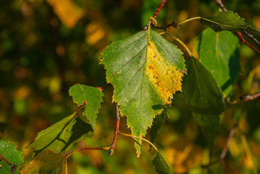 Similar image 21555121