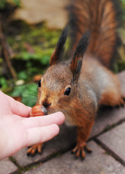 Similar image 21557547