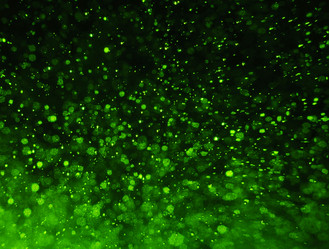 Similar image 21557550