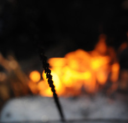 Similar image 21557553