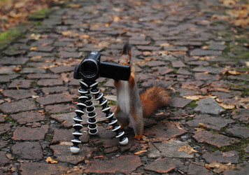 Similar image 21557559