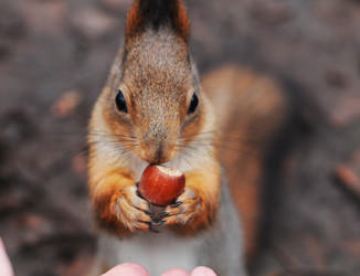 Similar image 21557560