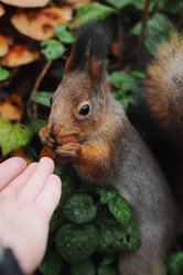 Similar image 21557562