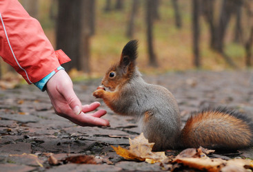 Similar image 21557563