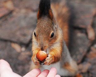 Similar image 21557564