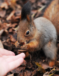 Similar image 21557565