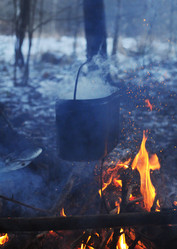 Similar image 21557568