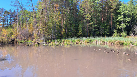 Similar image 21555046