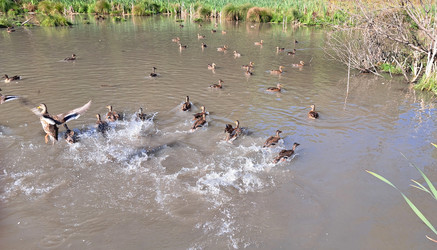 Similar image 21555047