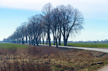 Similar image 21556619