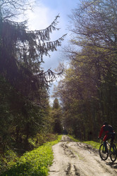 Similar image 21556622