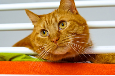 Similar image 21556623