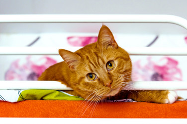 Similar image 21556624