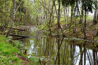 Similar image 21556628