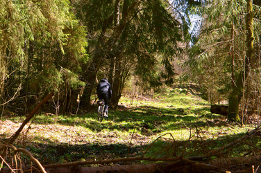 Similar image 21560045