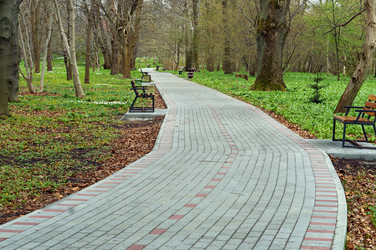 Similar image 21556653