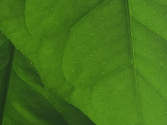 Similar image 21555570