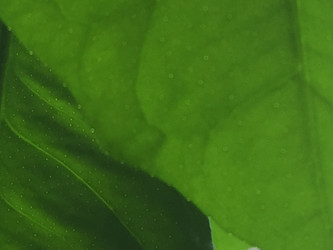 Similar image 21555574