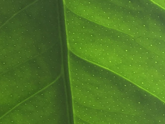 Similar image 21555576