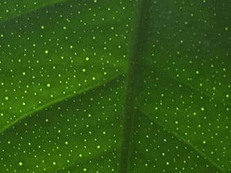 Similar image 21555578