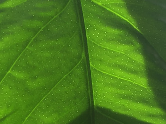 Similar image 21555581