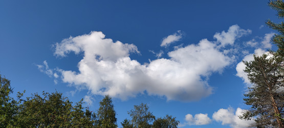 Similar image 21555582