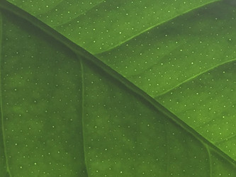 Similar image 21555584