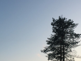 Similar image 21555586