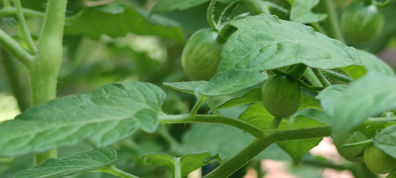 Similar image 21555592